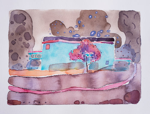 The Blue House